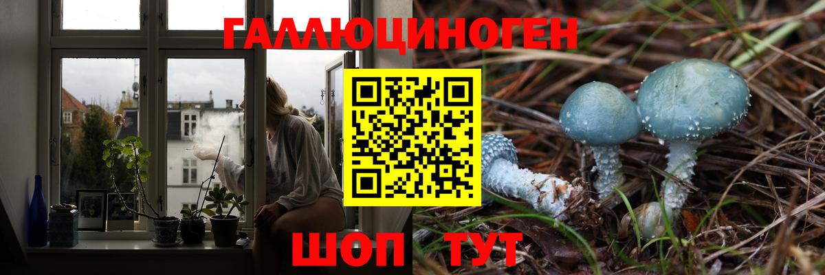 Псилоцибиновые грибы Cubensis Россошь