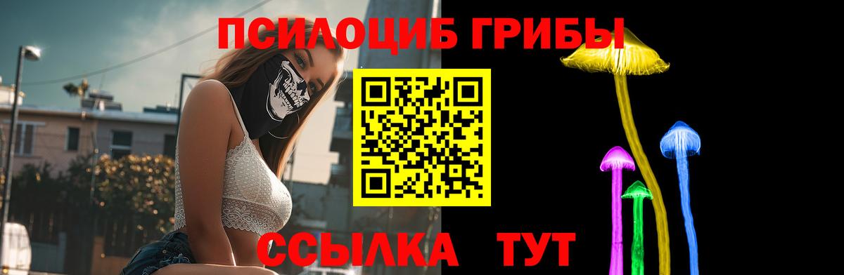 Галлюциногенные грибы MAGIC MUSHROOMS  Вход с VPN  Россошь 